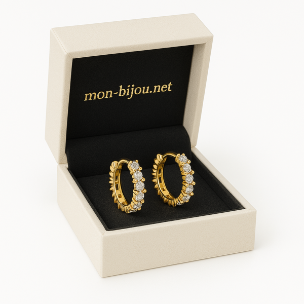 Boucles d'Oreilles Cercles Zircon